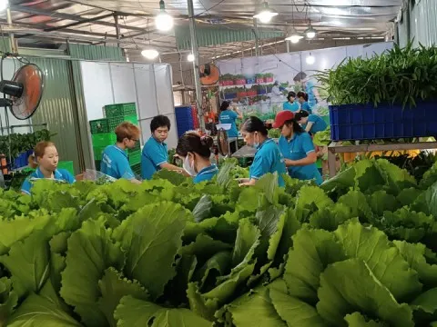 HÓA GIẢI KHÓ KHĂN ĐỂ PHÁT TRIỂN (*): Ưu tiên cải cách thể chế