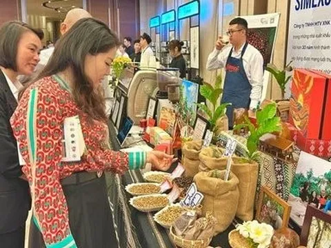 Mời du khách uống cà phê miễn phí khi đến Lễ hội Cà phê Buôn Mê Thuột