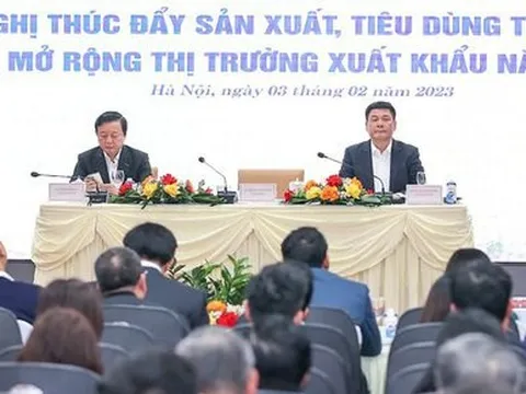Tìm kiếm thị trường xuất khẩu mới