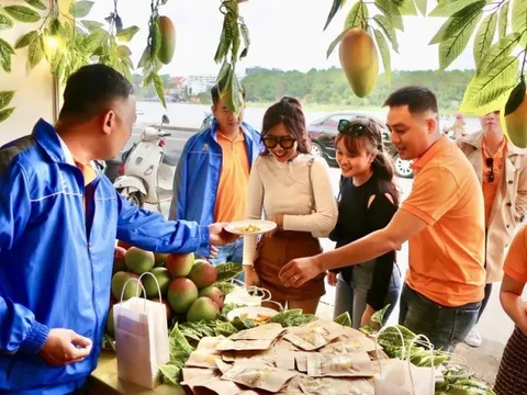 Hành trình đưa đặc sản quê hương lên sàn thương mại của 3 chàng trai 9X