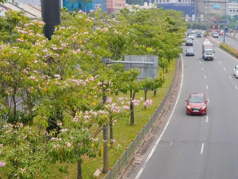 Hôm nay 5-2, nhiệt độ ở TP HCM cao nhất là 35 độ C