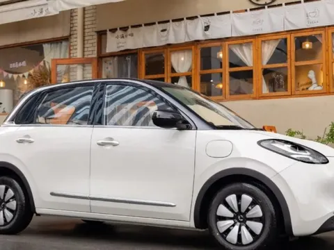 Lô ô tô điện giá rẻ chỉ 241 triệu đồng cập bến đại lý, no pin đi 312 km