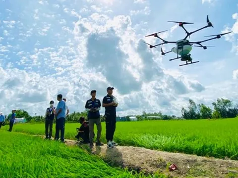 Công ty Việt dùng 3.000 máy bay không người lái phun thuốc trừ sâu cho đồng lúa, vườn sầu riêng: Chỉ 8.000-10.000 đồng/lít, tăng trưởng 100%/năm