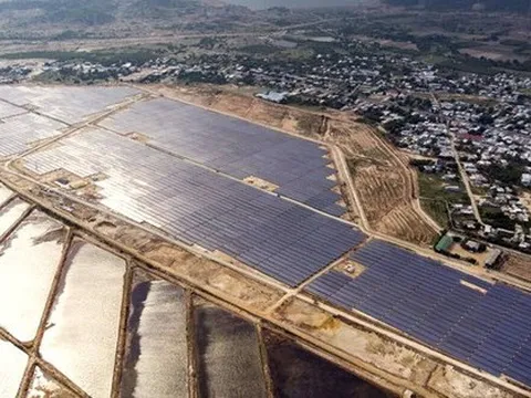 Bán dự án điện mặt trời Vĩnh Hảo 6 cho nước ngoài, Fecon từ lỗ sang có lãi hơn 49 tỷ đồng trong quý 4/2022