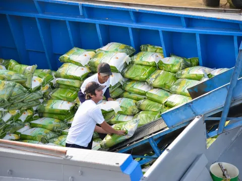 Ngành gạo kỳ vọng thắng lớn