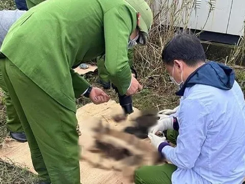 Phát hiện bộ xương người trong khu mặt bằng đô thị