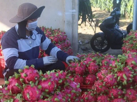 Giá nhiều loại nông sản tăng mạnh sau khi Trung Quốc “mở cửa”