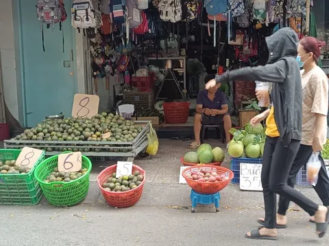 Cam sành rẻ chưa từng có