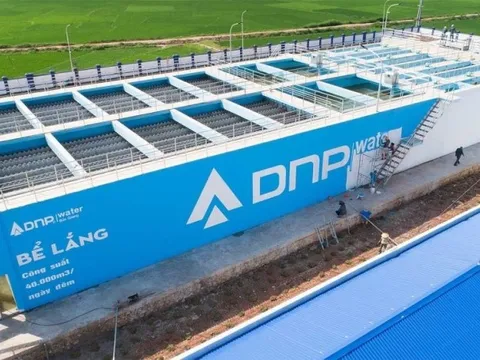 DNP Holding có Tổng giám đốc sinh năm 1989