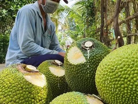 Nhiều loại nông - thủy sản được giá