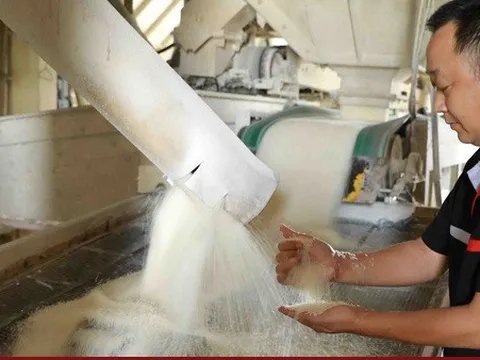 Giá gạo Việt xuất khẩu tăng cao nhất 2 năm