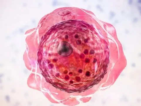 Đã tìm ra thuốc điều trị amip ăn não chết người