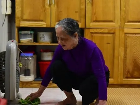 Người dân phố cổ Hà Nội chật vật vì nồm ẩm