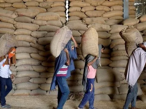 Quốc gia xuất khẩu top 2 thế giới tiếp tục kéo dài lệnh cấm xuất khẩu lúa mì
