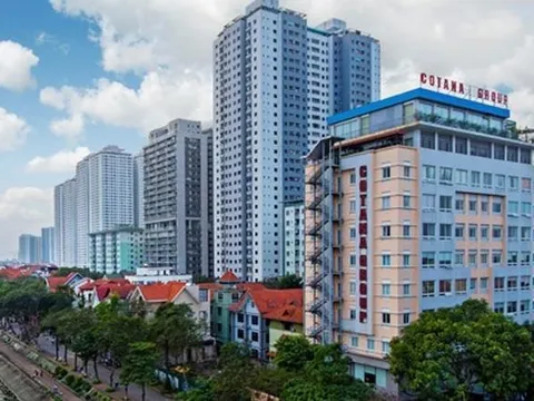 Giảm gần 70%, Công ty xây dựng của Chủ tịch Vinaconex lãi vỏn vẹn 16 tỷ trong quý 4, giá cổ phiếu giảm 75% từ đỉnh