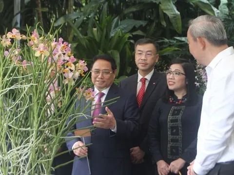 Lễ định danh hoa lan theo tên Thủ tướng Phạm Minh Chính và Phu nhân ở Singapore