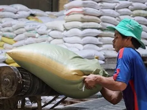 Vì sao xuất khẩu gạo 'phá' kỷ lục nhưng lợi nhuận doanh nghiệp teo tóp?
