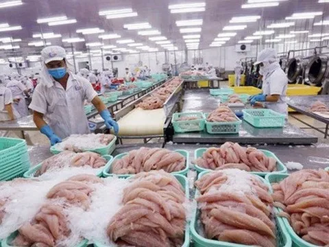 Một loại thủy sản Việt Nam được Mỹ công nhận trình độ sản xuất tương đương nền kinh tế lớn nhất thế giới