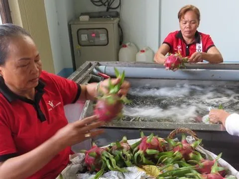 Xuất khẩu nông sản sang Trung Quốc: Chuẩn bị cho 'cuộc chơi' mới