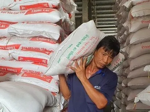 Lý do doanh nghiệp Việt khó đăng ký xuất khẩu gạo sang Trung Quốc