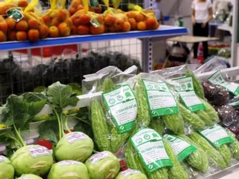 Xuất khẩu rau quả tăng 3,1% trong tháng 1