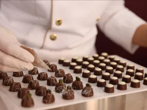 Nhật Bản: Nhu cầu chocolate dự kiến tăng bất chấp lạm phát