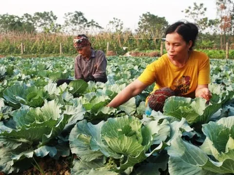 Bắc Ninh: Tỷ lệ hộ nghèo giảm còn 0,94%
