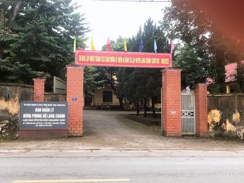 "Cắt xén" hàng trăm triệu đồng tiền công bảo vệ rừng của dân