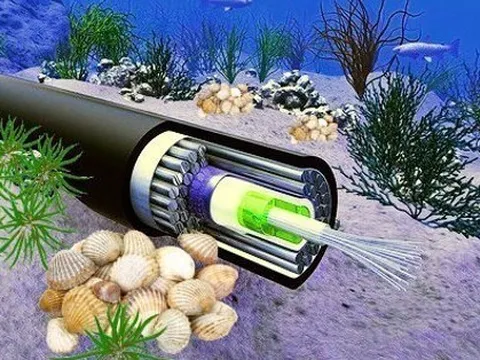 Khôi phục 50% dung lượng Internet đi quốc tế sau sự cố cáp quang biển