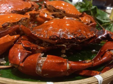 Bất ngờ giá cua biển Cà Mau