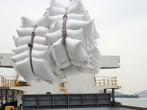 Giá gạo xuất khẩu của Việt Nam cao nhất trong 2 năm