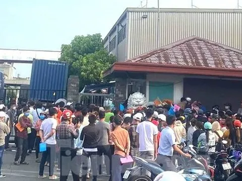 Hàng trăm người chen chân nộp hồ sơ xin việc