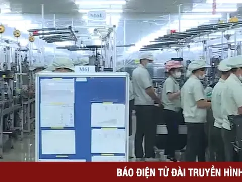 Gần 60% doanh nghiệp Nhật Bản sẽ mở rộng hoạt động kinh doanh tại Việt Nam