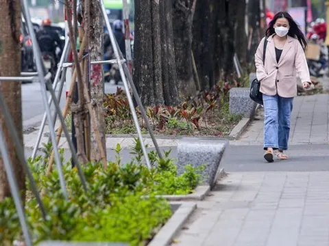 Cận cảnh hàng ghế đá dưới cây hoa sữa cổ thụ trên đường đẹp nhất Hà Nội