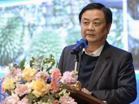 Bức tranh đa màu trong xuất khẩu nông sản, thuỷ sản sang Trung Quốc