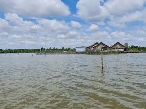 Cần sớm hoàn thiện lập, điều chỉnh quy hoạch đầm nước lớn nhất ĐBSCL