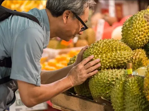 Lý do các nước Đông Nam Á đại chiến sầu riêng tại Trung Quốc: Từ người già tới trẻ em đều mê, mua tới hơn 800.000 tấn/năm, giá trị 4 tỷ USD