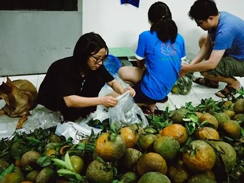 Cam sành rớt giá còn 1.000 đồng/kg, người trẻ ở TP.HCM trắng đêm "giải cứu" giúp bà con miền Tây