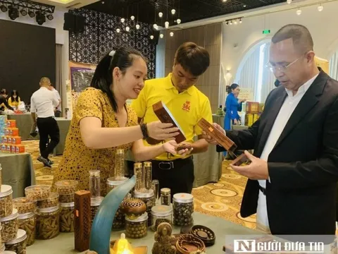 Phát động nâng cao hình ảnh, chất lượng du lịch Nha Trang – Khánh Hòa