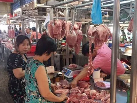 Heo hơi tuột khỏi mốc 54.000 đồng/kg, người chăn nuôi gặp khó