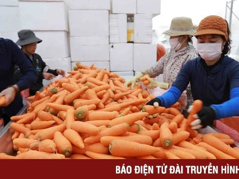 Thúc đẩy xúc tiến thương mại, gỡ khó cho xuất khẩu