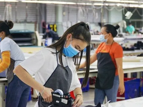 Hơn 20% doanh nghiệp tại TP Hồ Chí Minh có doanh thu tăng