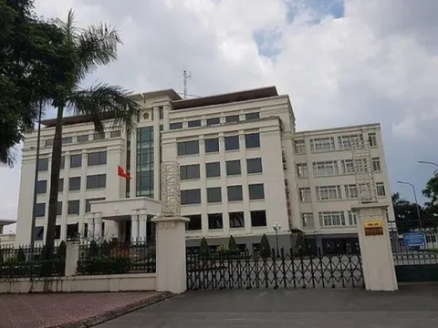 Trưởng phòng Nội vụ ở Hải Phòng chưa tốt nghiệp phổ thông đã “nhảy cóc” lên đại học?