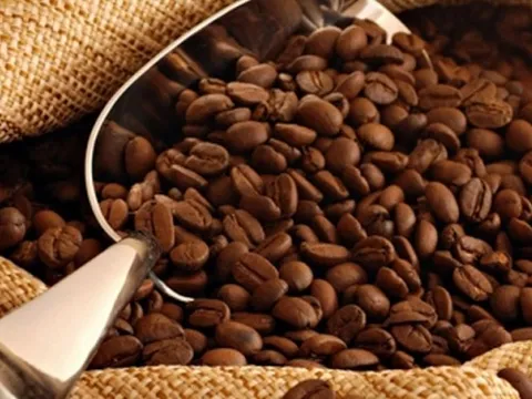 Vì sao Trung Quốc giảm nhập khẩu cà phê từ Việt Nam?