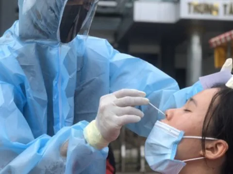 Đến lượt Cần Thơ khởi tố vụ án liên quan Công ty Việt Á