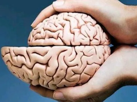 Khi não bắt đầu "teo lại", cơ thể có 4 dấu hiệu không thể giấu giếm