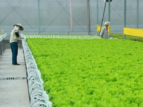 Kinh tế tuần hoàn và cơ hội cho doanh nghiệp