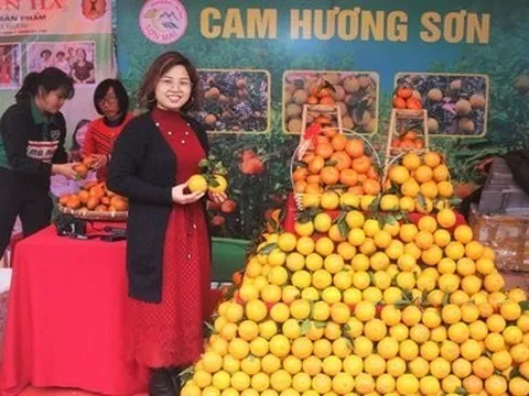 Cầu nối đưa nông sản Hà Tĩnh vươn xa: Lễ hội Cam - kết nối thương hiệu nông sản (Bài 1)