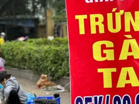 Thực hư trứng gà “giải cứu” 65.000 đồng/30 quả?