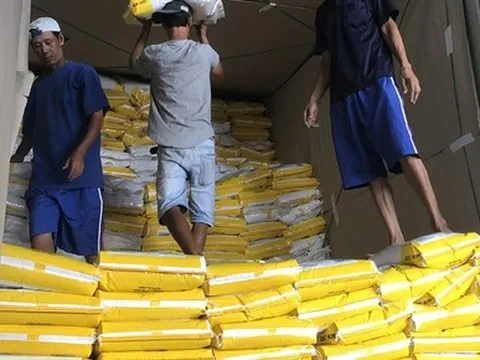 Xuất khẩu gạo sang Trung Quốc giảm: Doanh nghiệp nói gì?